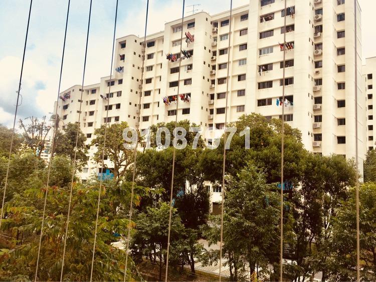 Parc Vera (D19), Condominium #168339612